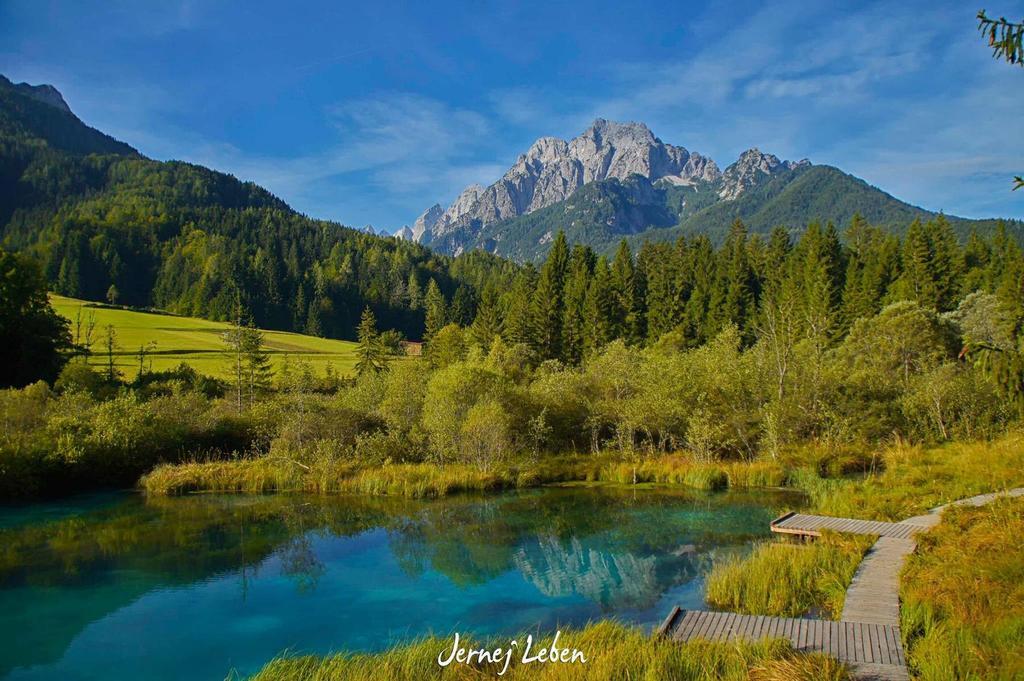 Alpine Spot Apartment Kranjska Gora Luaran gambar